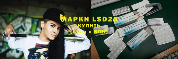 apvp Алзамай