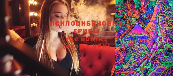 прущие грибы Кукмор