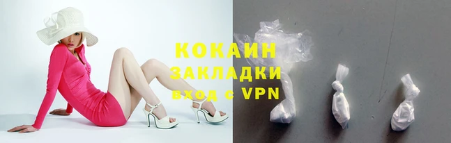 прущие грибы Кукмор
