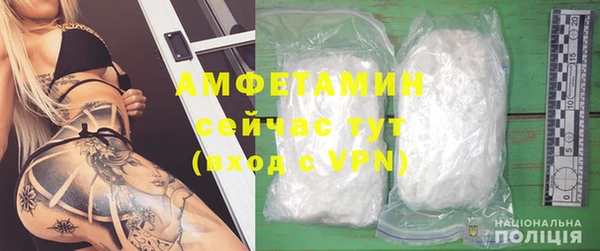 крисы Магас
