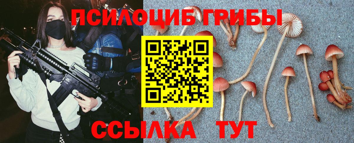 Галлюциногенные грибы Psilocybine cubensis  Вход с VPN  Псилоцибиновые грибы Cubensis  Ишимбай 
