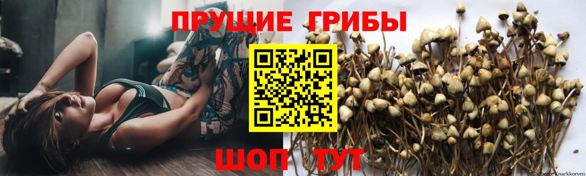 Галлюциногенные грибы GOLDEN TEACHER  Псилоцибиновые грибы ЛСД  Ишимбай 