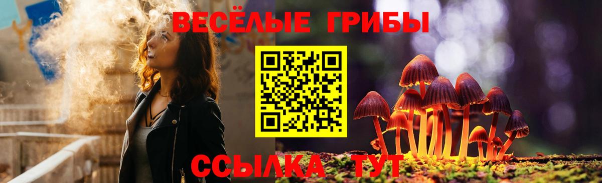 Псилоцибиновые грибы Psilocybine cubensis Ишимбай